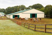 Green Metal Roof Horse Barn