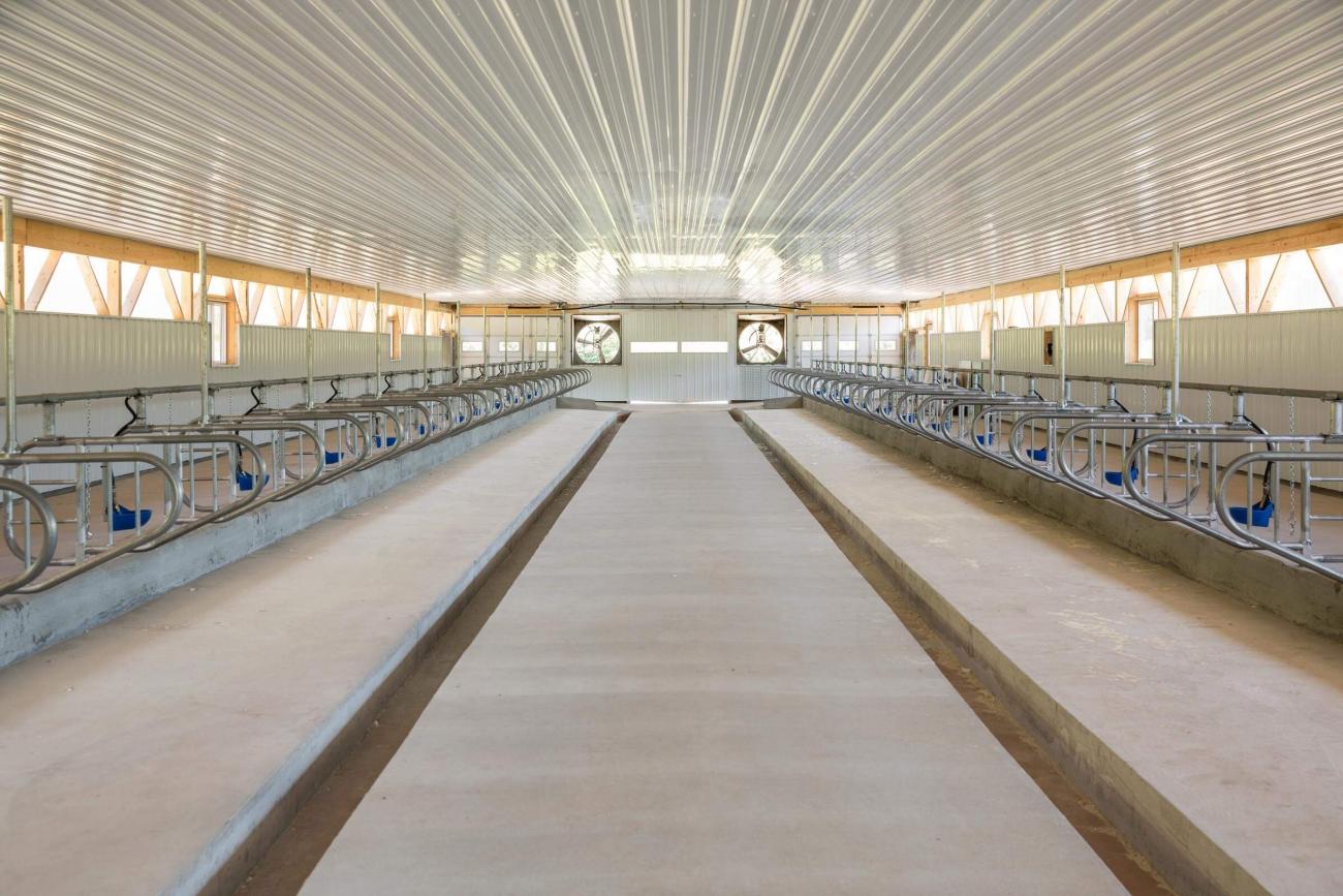 Green &amp; White Metal Cow Barn Inside