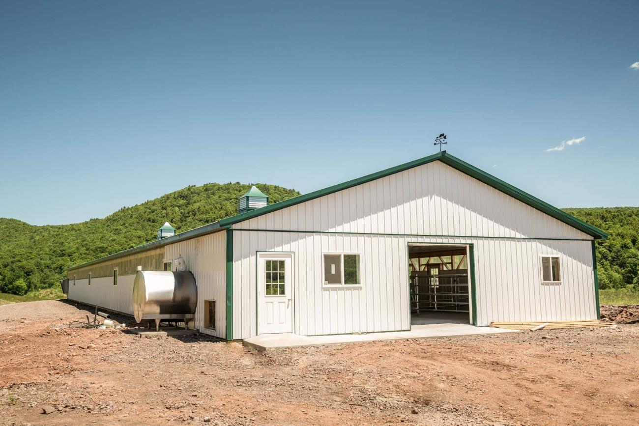 Green &amp; White Metal Cow Barn