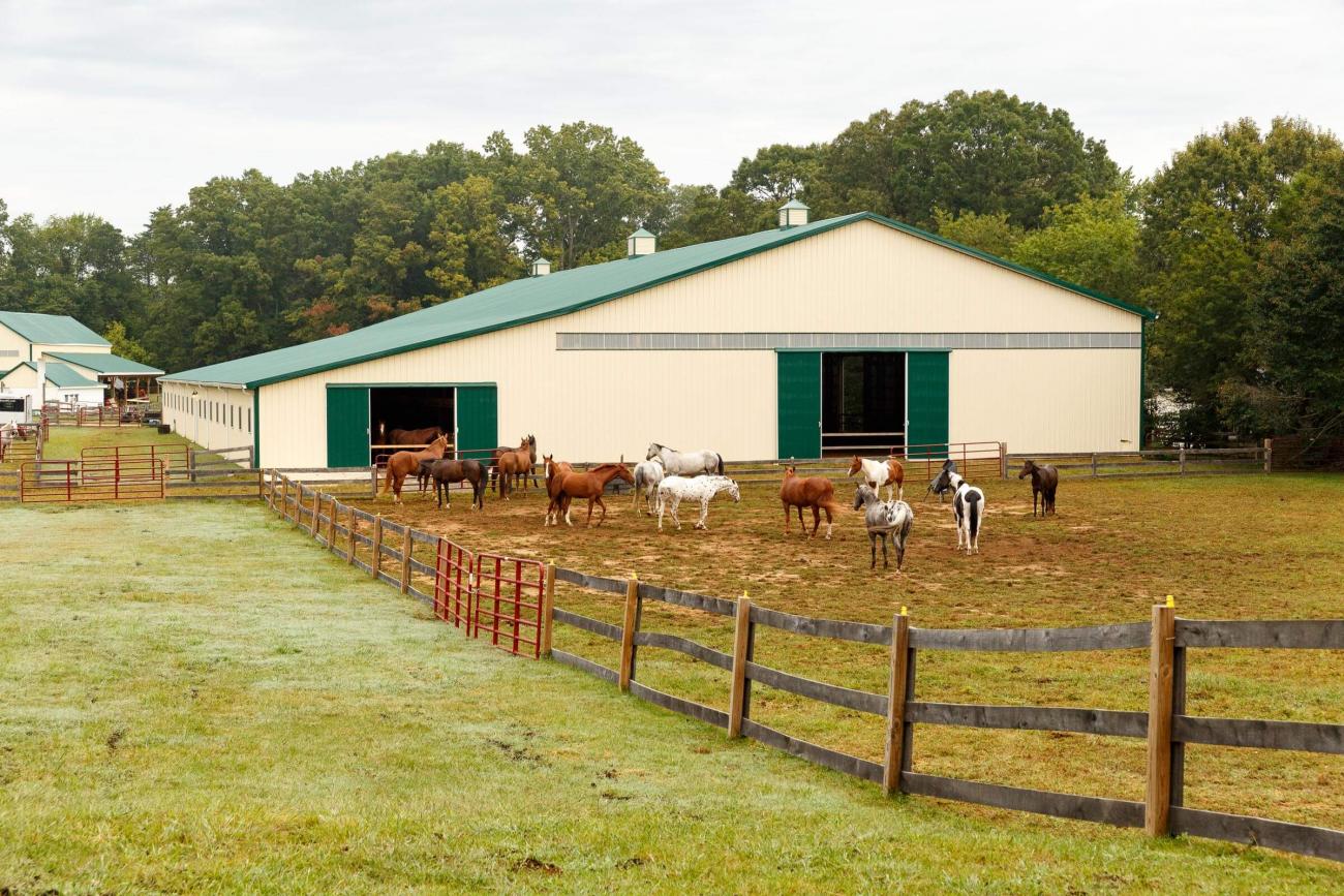 Horse Barn Builders | Dream Building Solutions