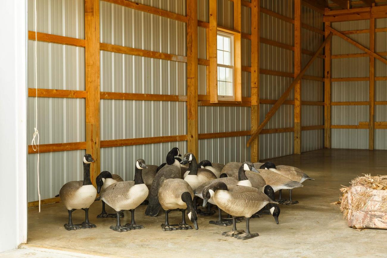 Grey Metal Shed Inside