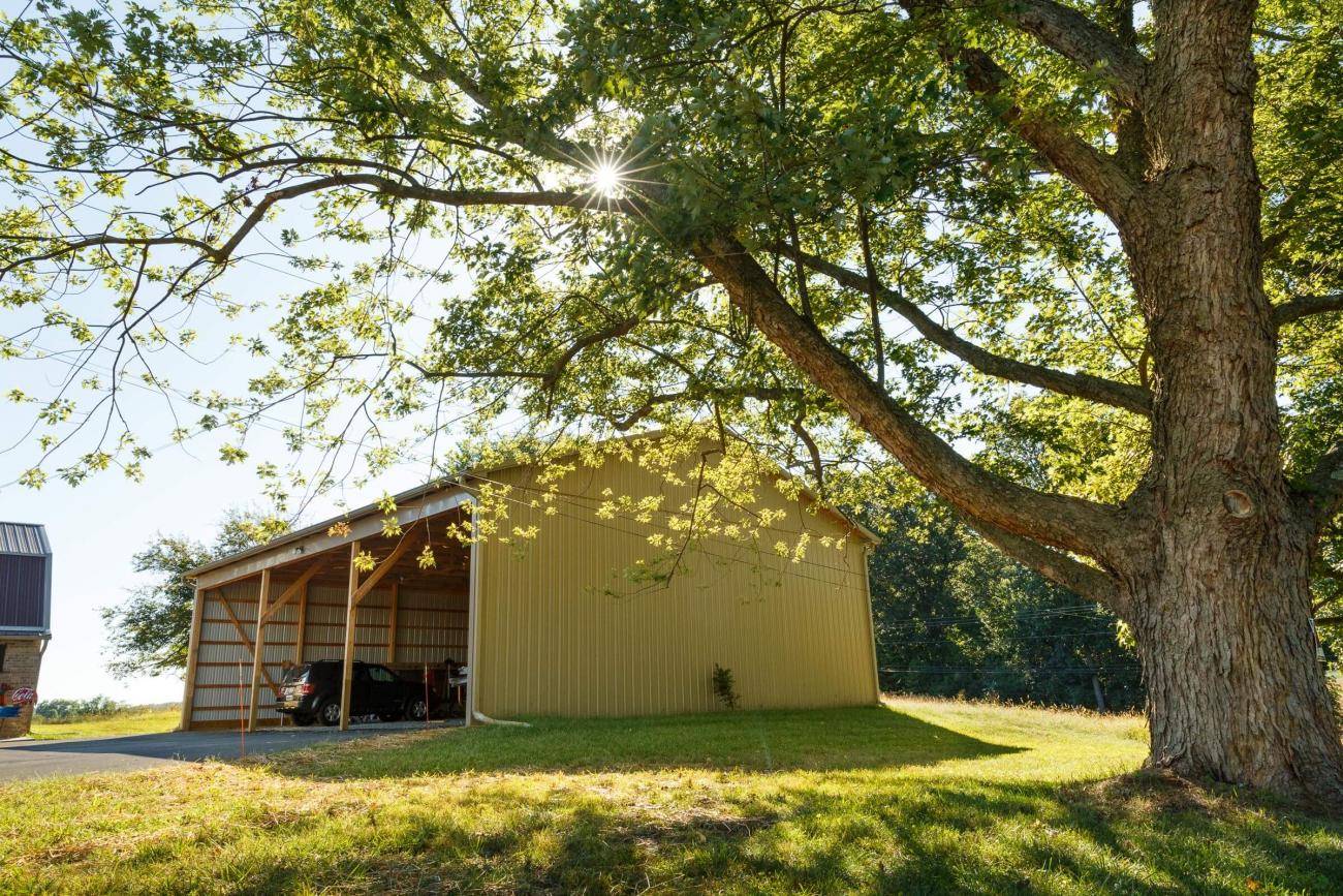 Yellow Metal Shed