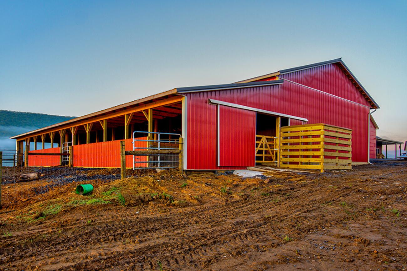 Red Metal Animal Barn