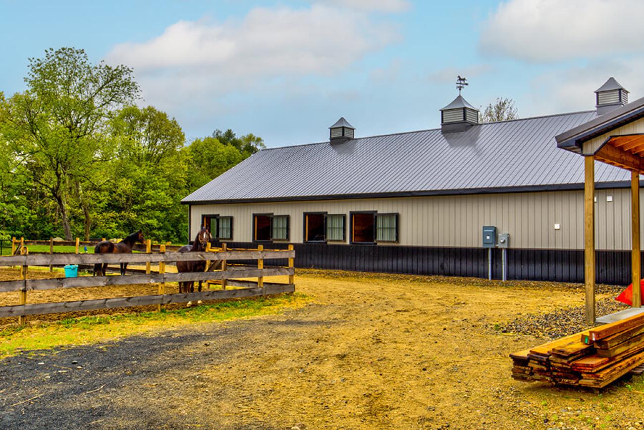 Black &amp; Tan Barn